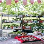 Fête de la nature à Pardaillan