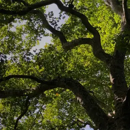 Fête de la nature à Peyrassoulat