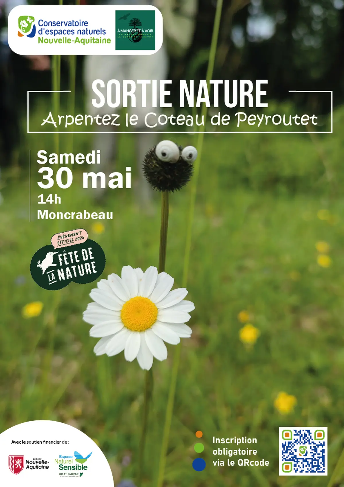 Fête de la Nature :  découverte du coteau de Peyroutet
