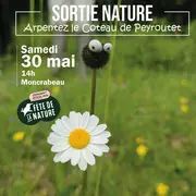 Fête de la Nature :  découverte du coteau de Peyroutet
