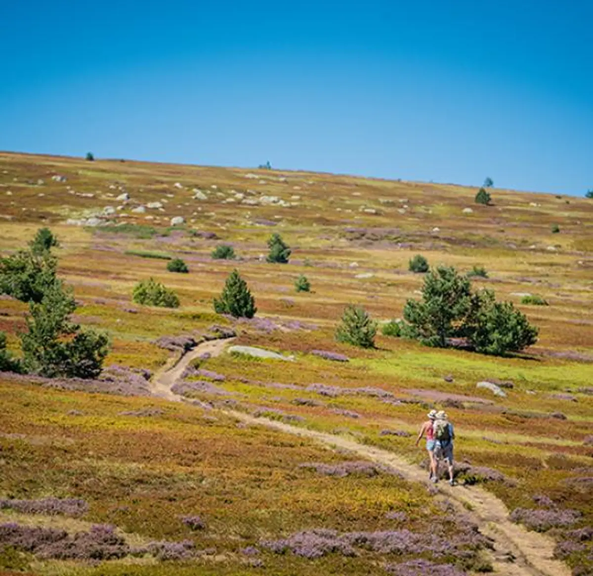 Fête De La Nature En Lozère : Lectures Insolites