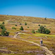 Fête De La Nature En Lozère : Lectures Insolites