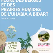 Fête de la nature - Flores des berges et des prairies humides de l'Uhabia à Bidart