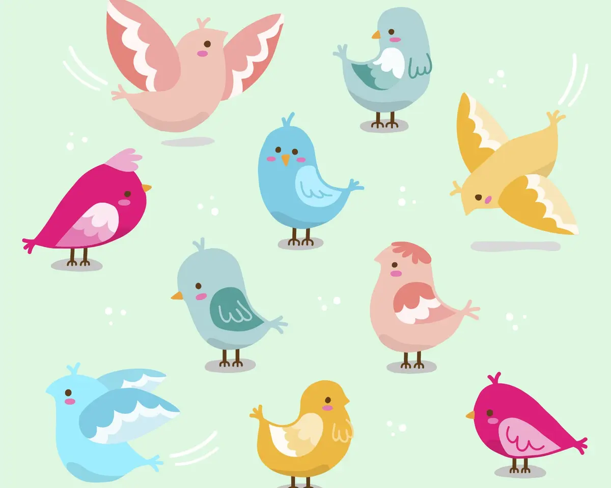 Fête de la Nature - Jeu d'observation des oiseaux