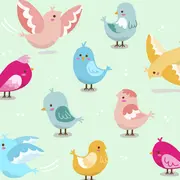 Fête de la Nature - Jeu d'observation des oiseaux