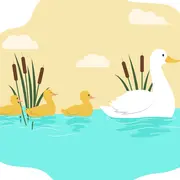Fête de la Nature - Le monde merveilleux de la mare