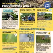 Fête de la Nature - Les Odonates