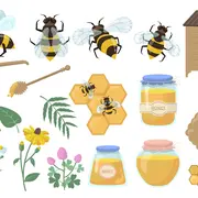 Fête de la Nature - Pourquoi sans les bébètes nous ne pourrions pas manger