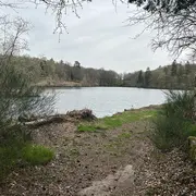 Fête de la nature : « Trop Sauvages »