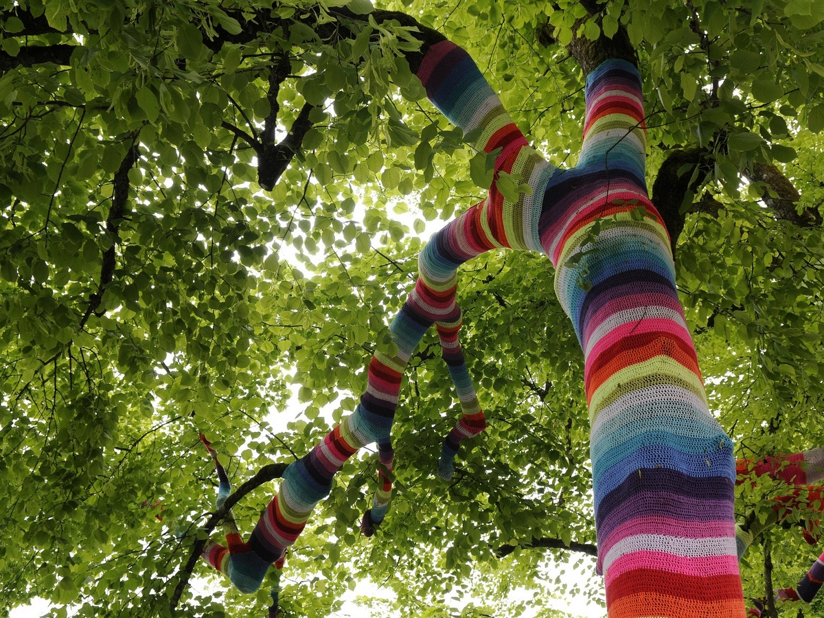 Fête De La Nature - Une Clairière, Des Chênes, Un Moulin à Eau