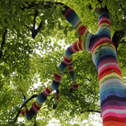 Fête De La Nature - Une Clairière, Des Chênes, Un Moulin à Eau