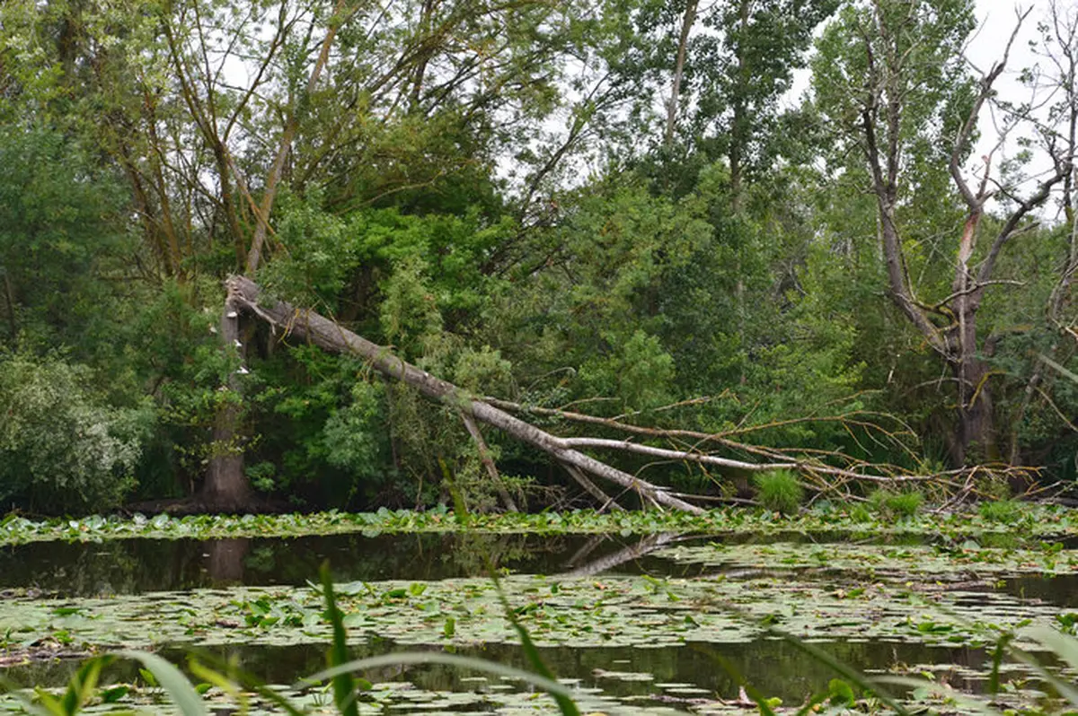 Fête de la Nature - Visite de la Réserve Naturelle Nationale de la Mazière