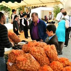 Fête de la noix