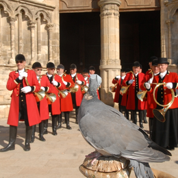 Fête de la Palombe