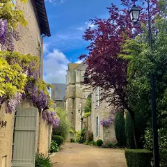 Fête de la petite cité de caractère de Saint-Dyé-sur-Loire