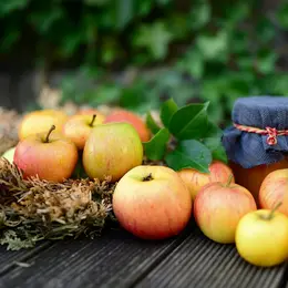 Fête de la pomme