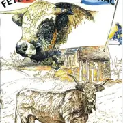 Fête de la race Aubrac