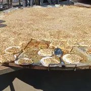 Fête de la rhubarbe