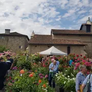 Fête de la Rose