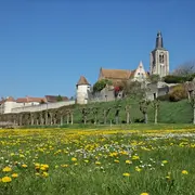 Fête de la Saint-Aignan