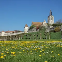 Fête de la Saint-Aignan