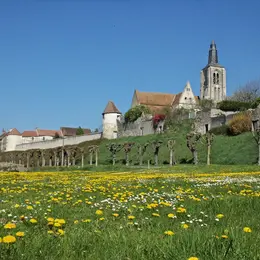 Fête de la Saint-Aignan