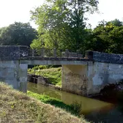 Fête de la Saint Cochon