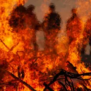 Fête De La Saint-Jean