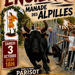 Fête de la Saint-Michel