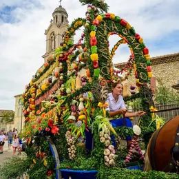 Fête de la Saint-Roch