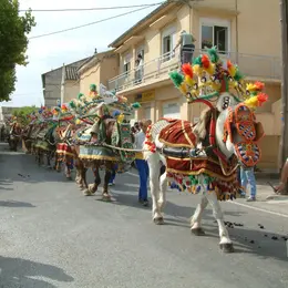 Fête de la Saint Roch des Paluds