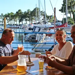 Fête de la Sardinade