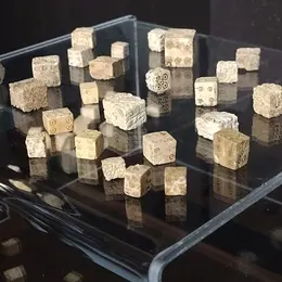 Fête de la Science