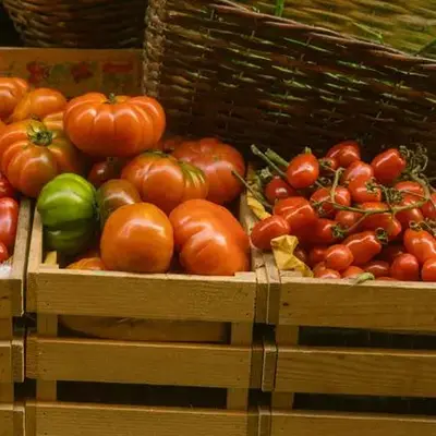 Fête de la tomate au Marché de Mulhouse