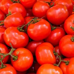 Fête de la Tomate