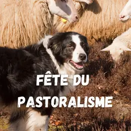Fête De La Transhumance