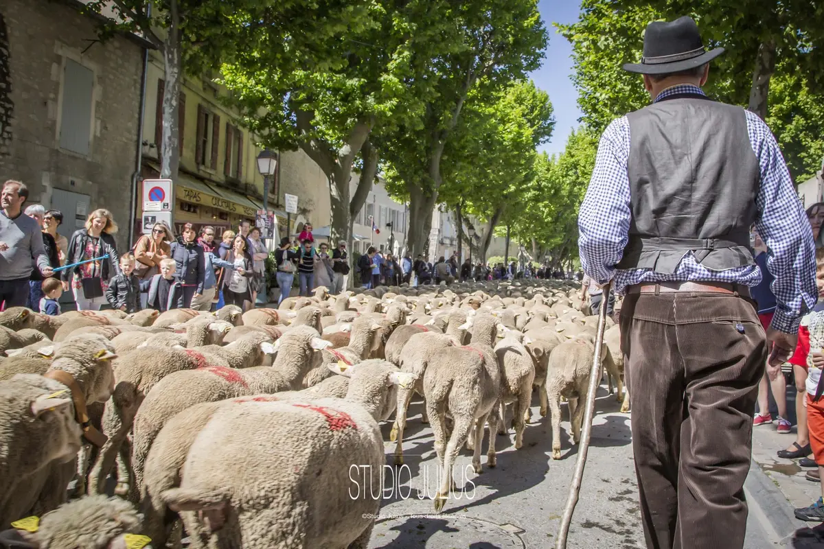Fête de la Transhumance 2026