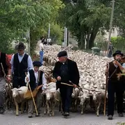 Fête de la Transhumance à Saint-Rémy-de-Provence 2026