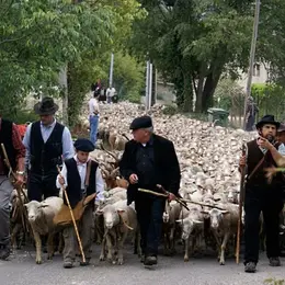 Fête de la Transhumance à Saint-Rémy-de-Provence 2027