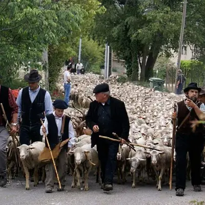 Fête de la Transhumance à Saint-Rémy-de-Provence 2026