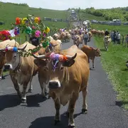 Fête De La Transhumance Au Col De Bonnecombe Et Festi'Rando