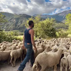 Fête de la Transhumance et de la Clairette 2026