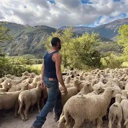 Fête de la Transhumance et de la Clairette 2026