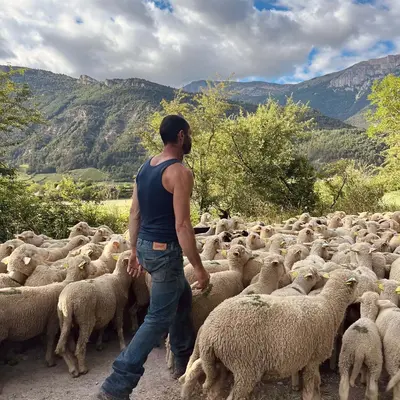 Fête de la Transhumance et de la Clairette 2026