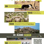 Fête de la Transhumance - Vernègues