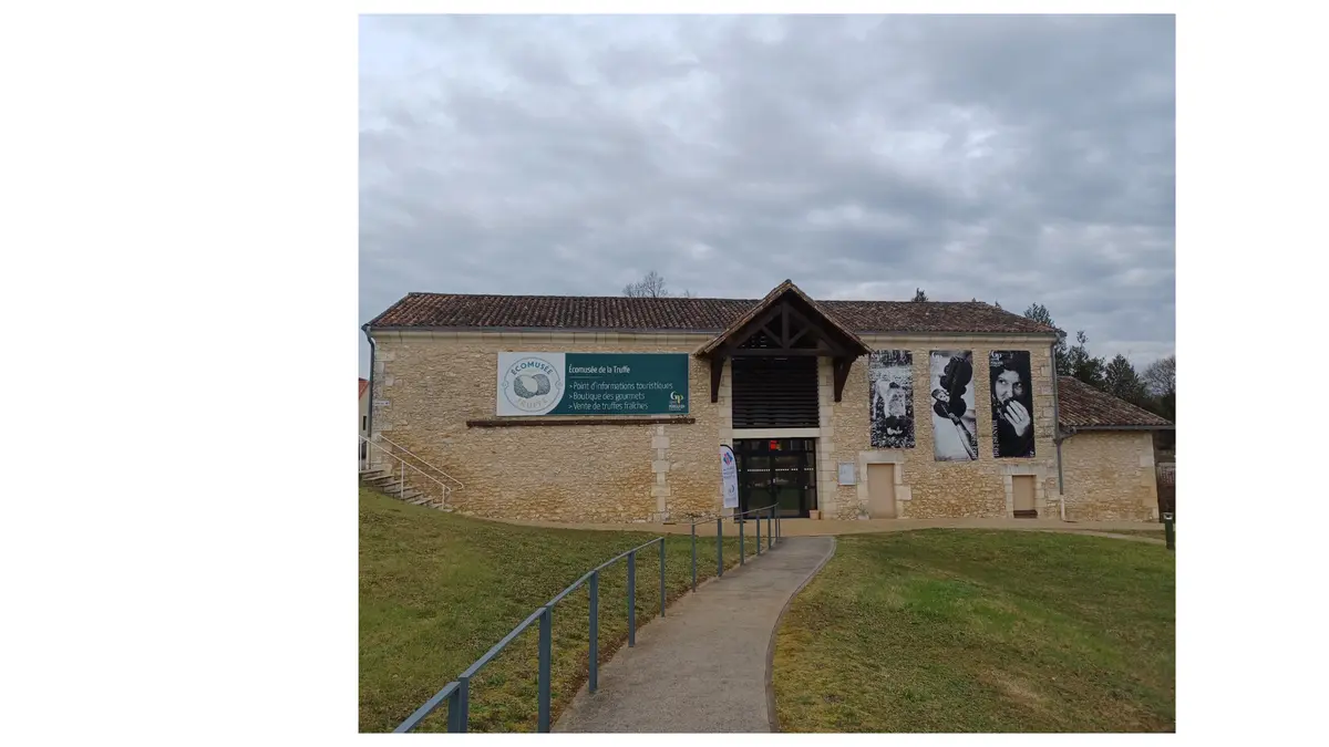 Fête de la truffe