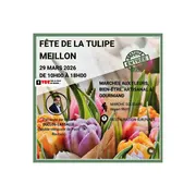 Fête de la Tulipe