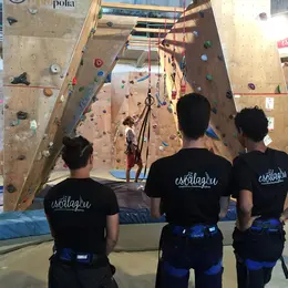 Fête De La Verticalité