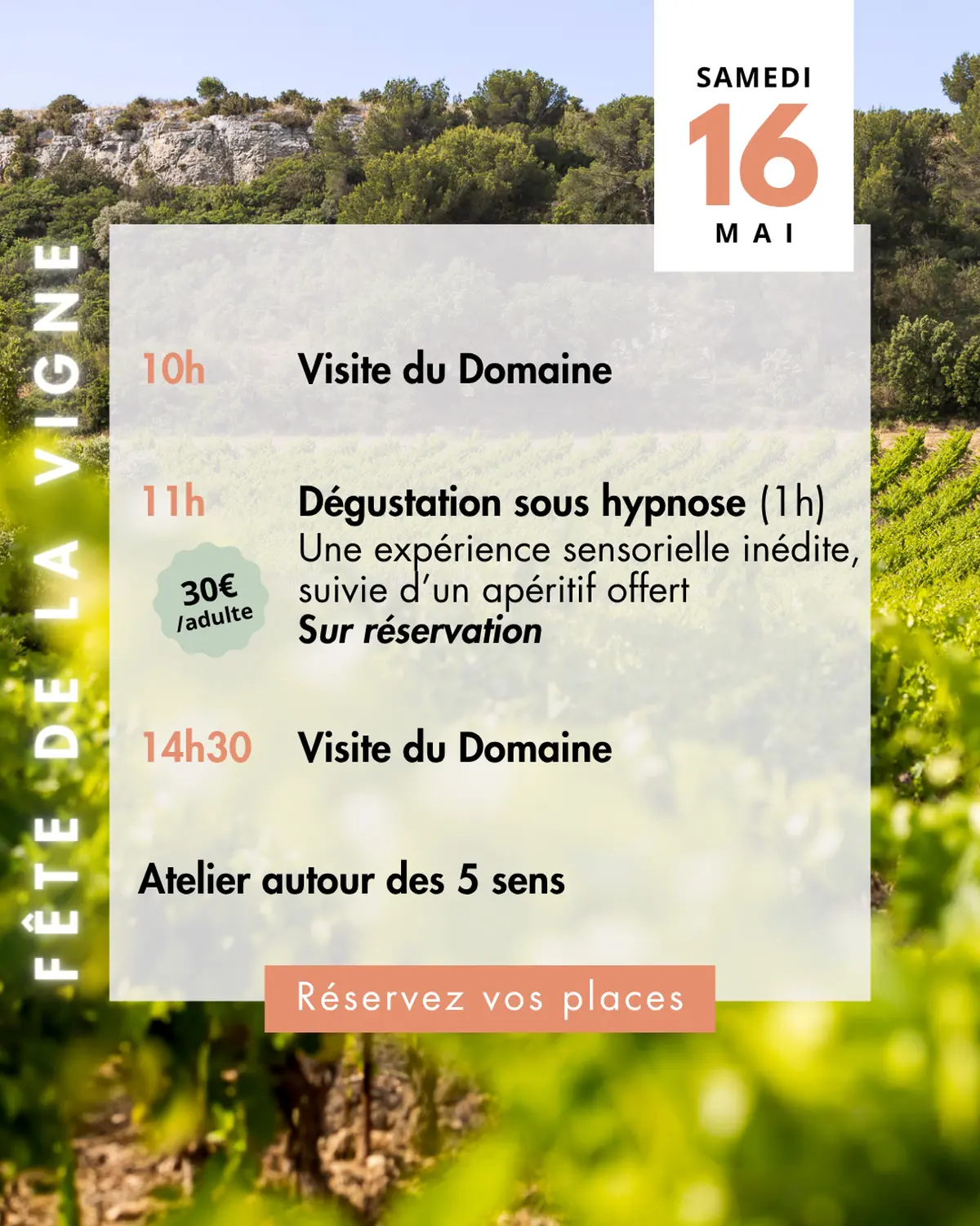 Fête de la Vigne et du Vin