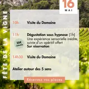 Fête de la Vigne et du Vin